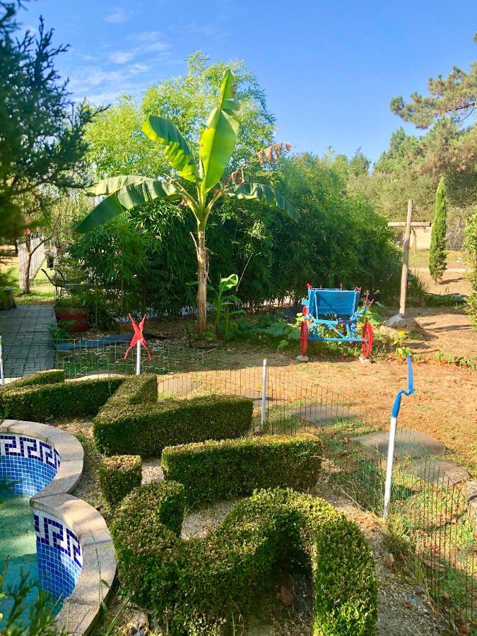 Casa Da Quinta Da Prelada Simao Villa Celorico De Basto Luaran gambar