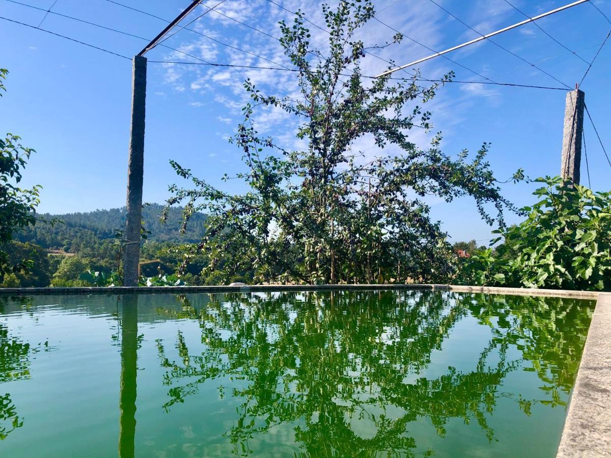 Casa Da Quinta Da Prelada Simao Villa Celorico De Basto Luaran gambar