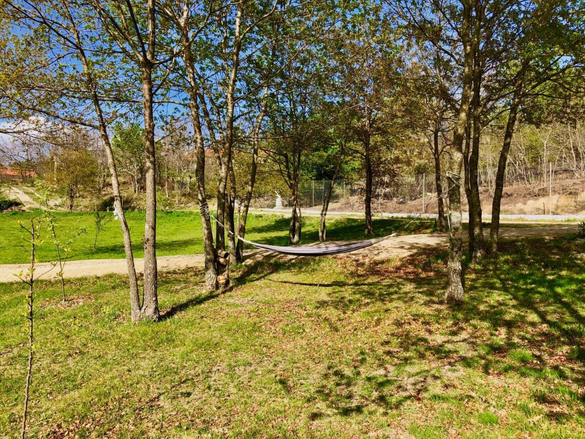 Casa Da Quinta Da Prelada Simao Villa Celorico De Basto Luaran gambar